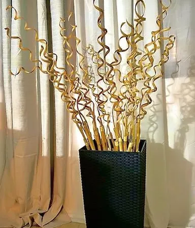 Charmanter Auszeit * Berlim