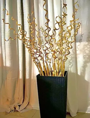 Charmanter Auszeit * Berlin